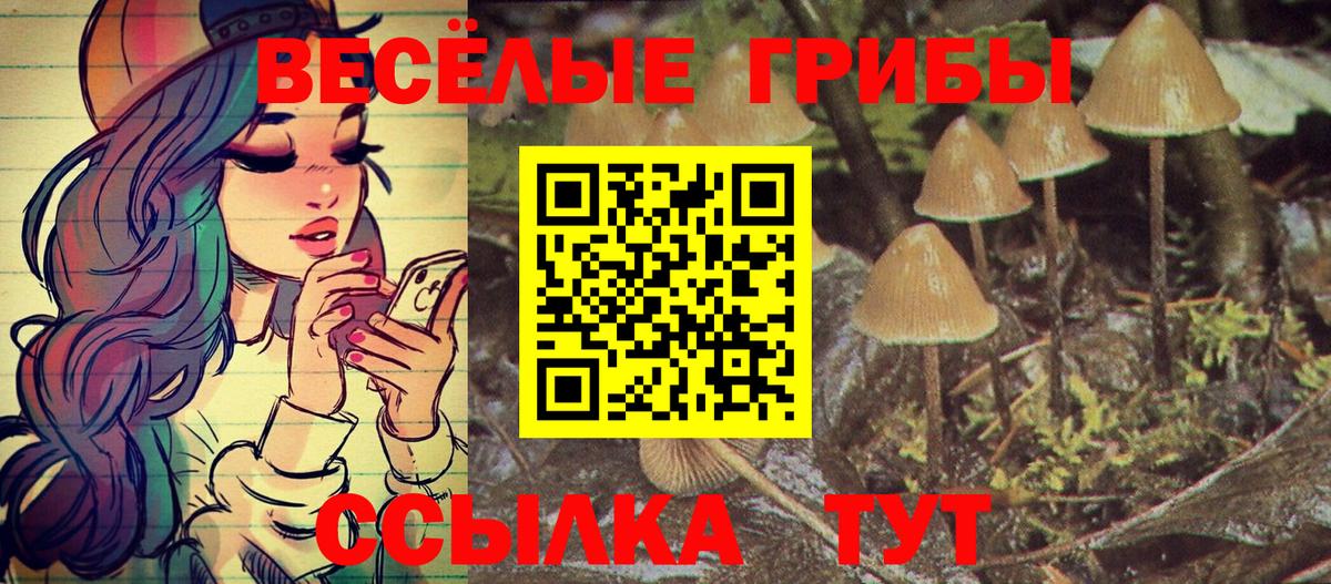Владивосток  купить наркотики сайты  Вход с VPN  Псилоцибиновые грибы Cubensis 