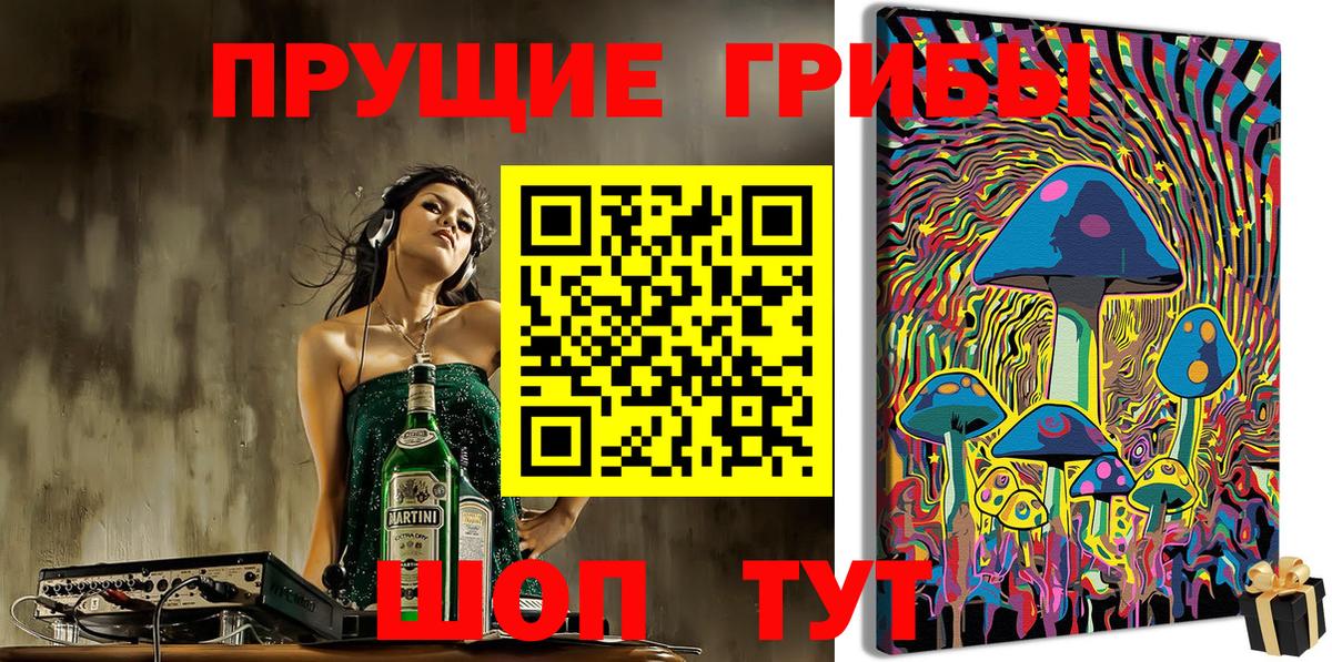 Галлюциногенные грибы мицелий Владивосток